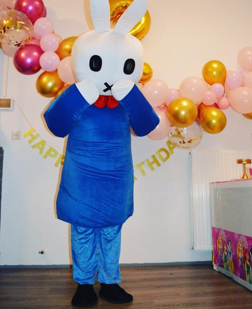 konijn mascotte pak, Hobby en Vrije tijd, Ophalen of Verzenden