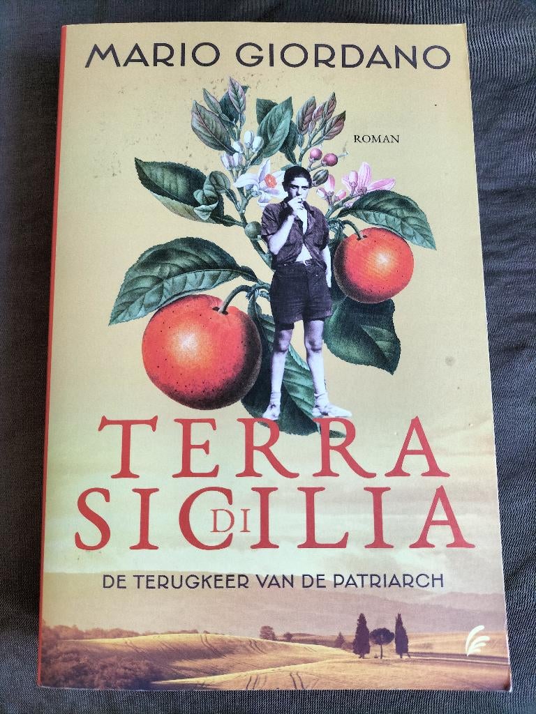 Mario Giordano ' Terra di Sicilia, Boeken, Historische romans, Zo goed als nieuw, Ophalen of Verzenden