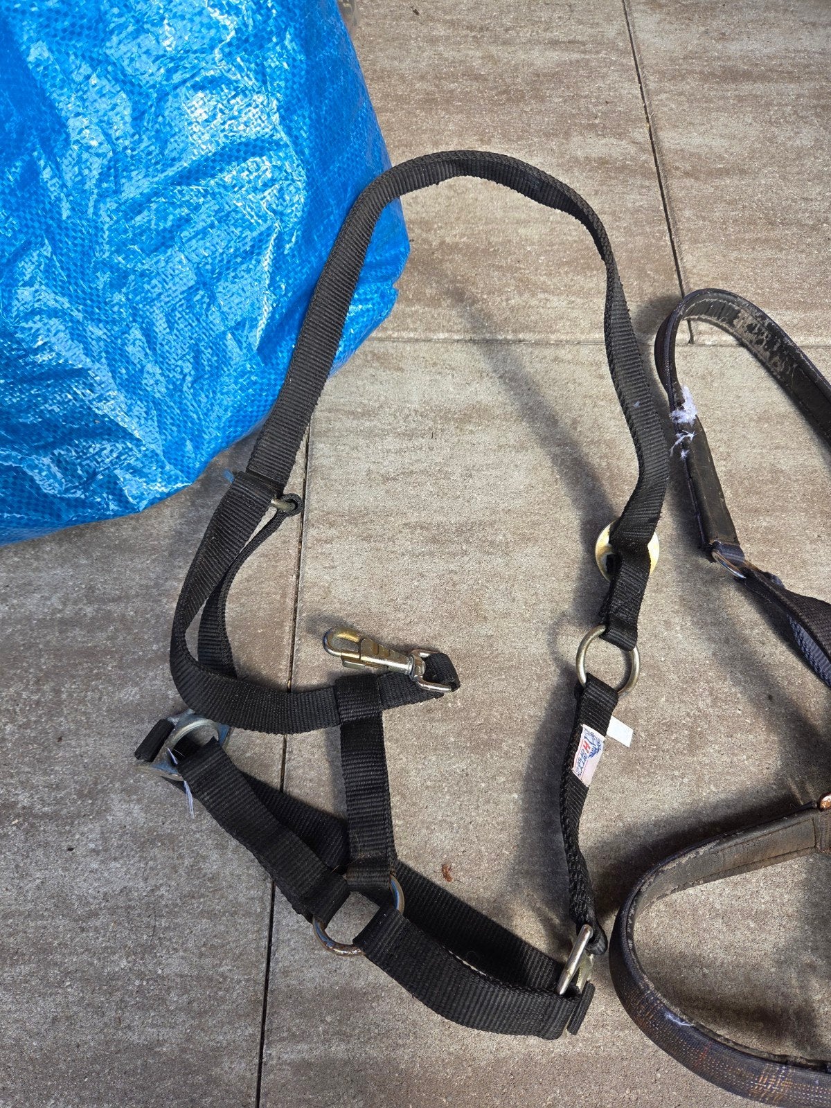 Halsters paard en shet, Ophalen, Met bont