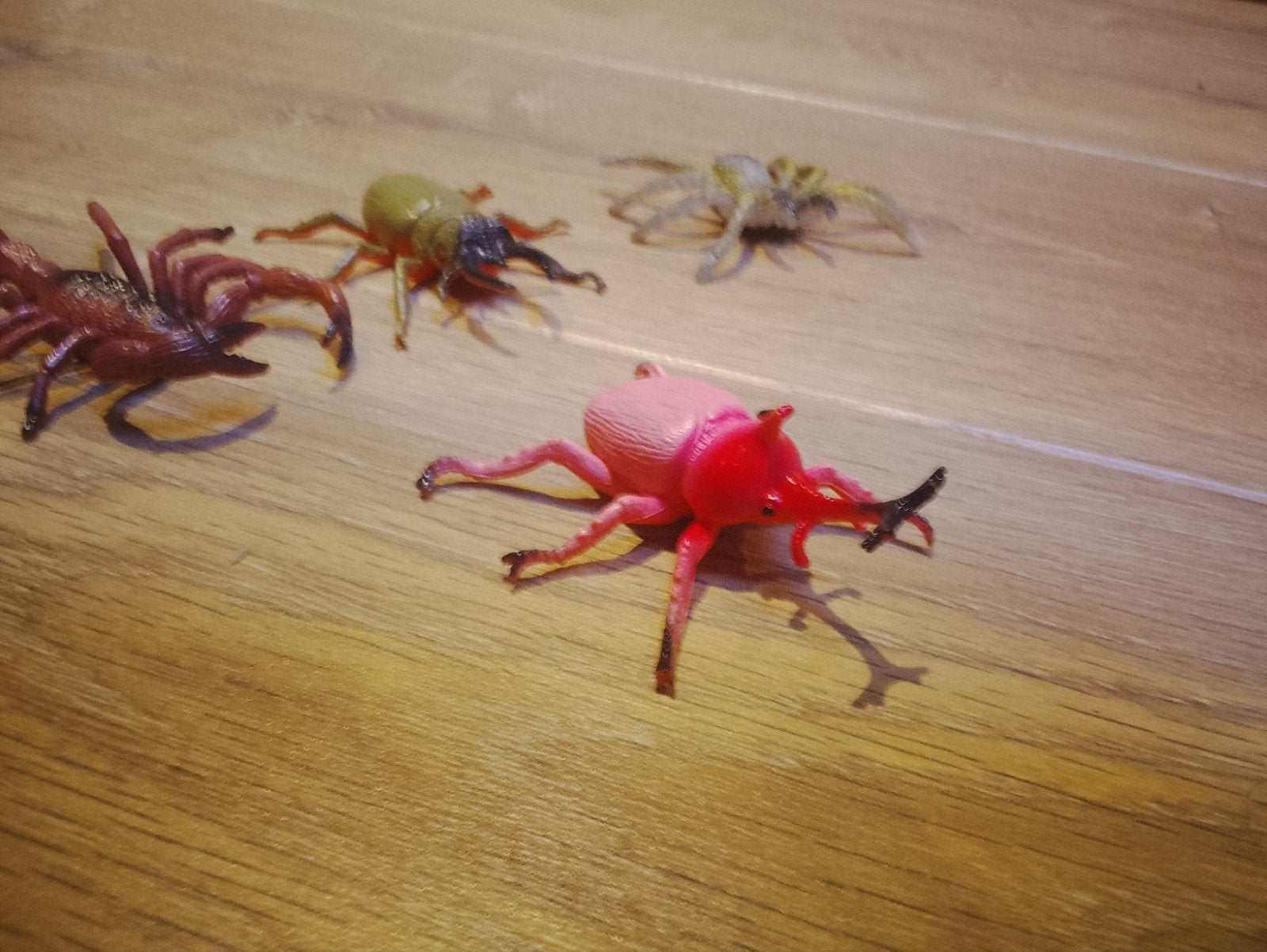 speelgoed insecten vier stuks, Dieren en Toebehoren, Overige soorten