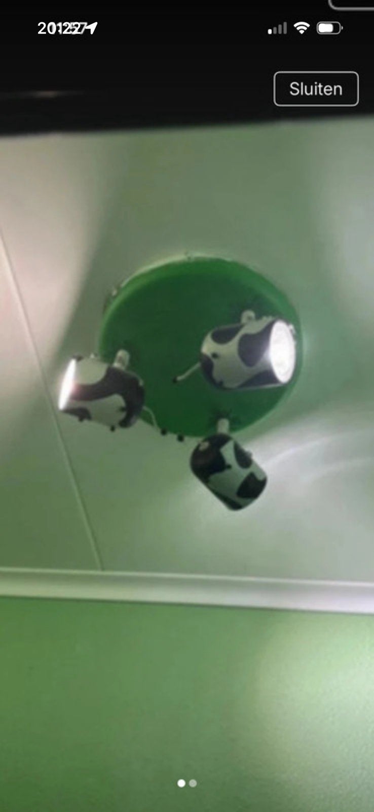 Koe lamp spotjes, Ophalen of Verzenden, Gebruikt, Metaal, Plafondspot of Wandspot