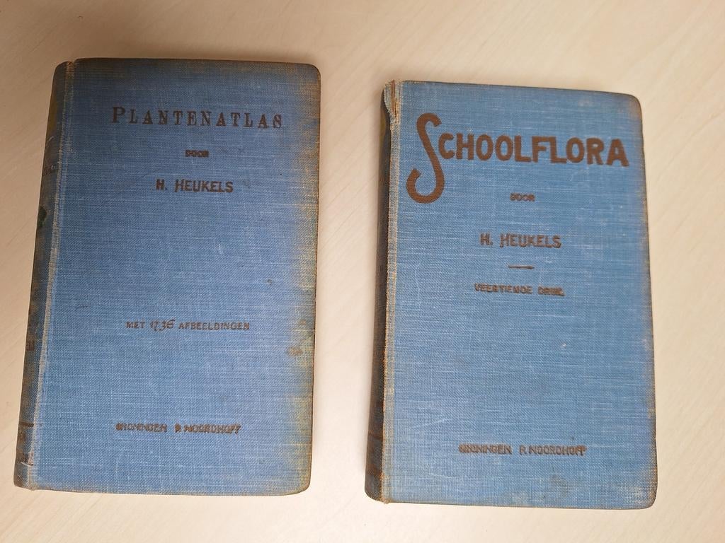 Schoolflora en plantenatlas H Heukels, Boeken, Natuur, Ophalen of Verzenden