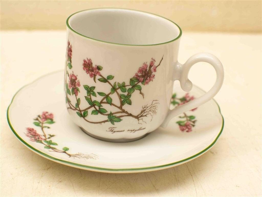 12 delig Leftmann Weiden bavaria porseleinen kop en schotelt, Gebruikt, Ophalen of Verzenden, Bord(en), Wedgwood