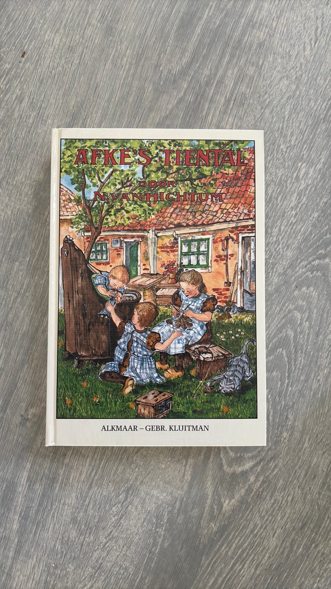 Boek Afke’s tiental, Ophalen, Zo goed als nieuw