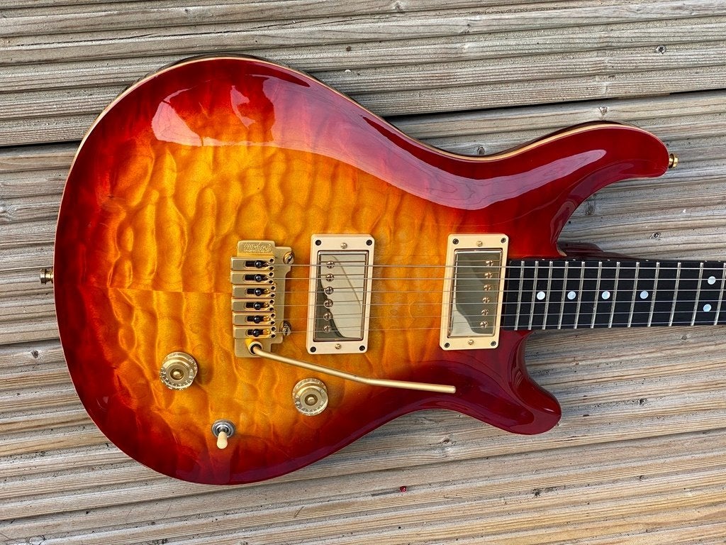 Peer Dellen Custom /PRS inspired & Hiscox case-topspecs !, Ophalen, Zo goed als nieuw, Solid body, Overige merken