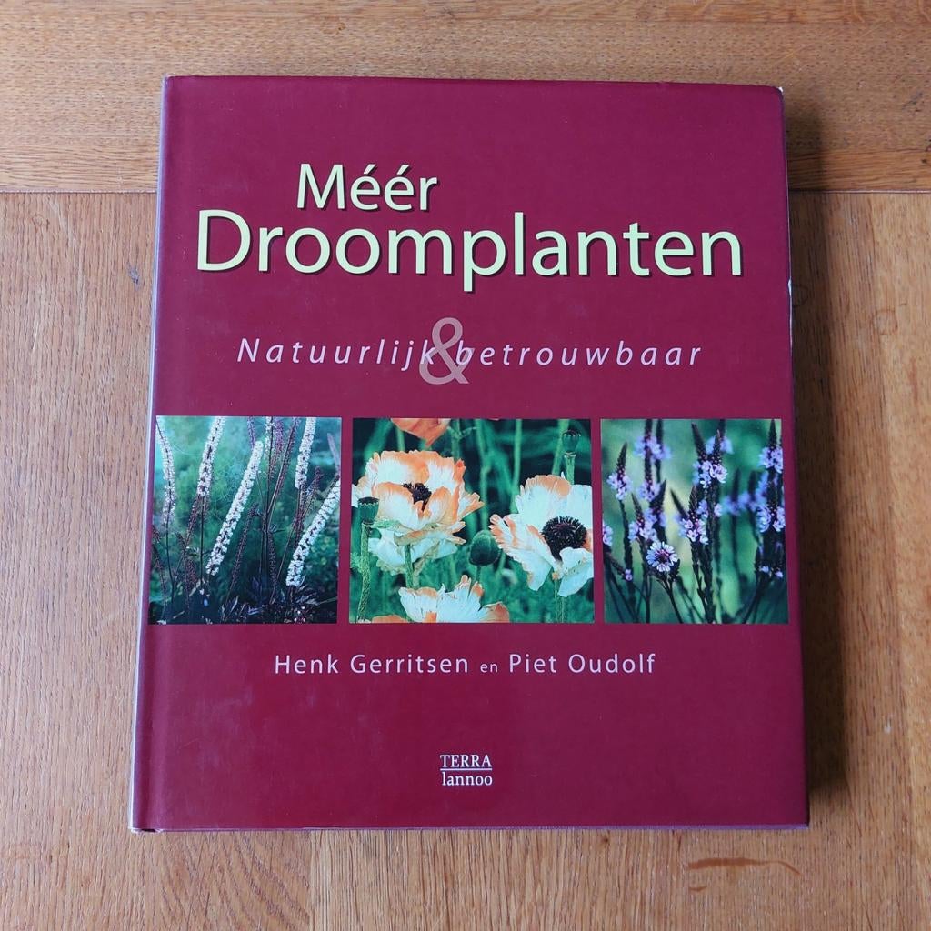 Meer Droomplanten van Oudolf & Gerritsen - Goede staat, Boeken, Wonen en Tuinieren, Ophalen of Verzenden, Gelezen, Piet Oudolf en Henk Gerritsen