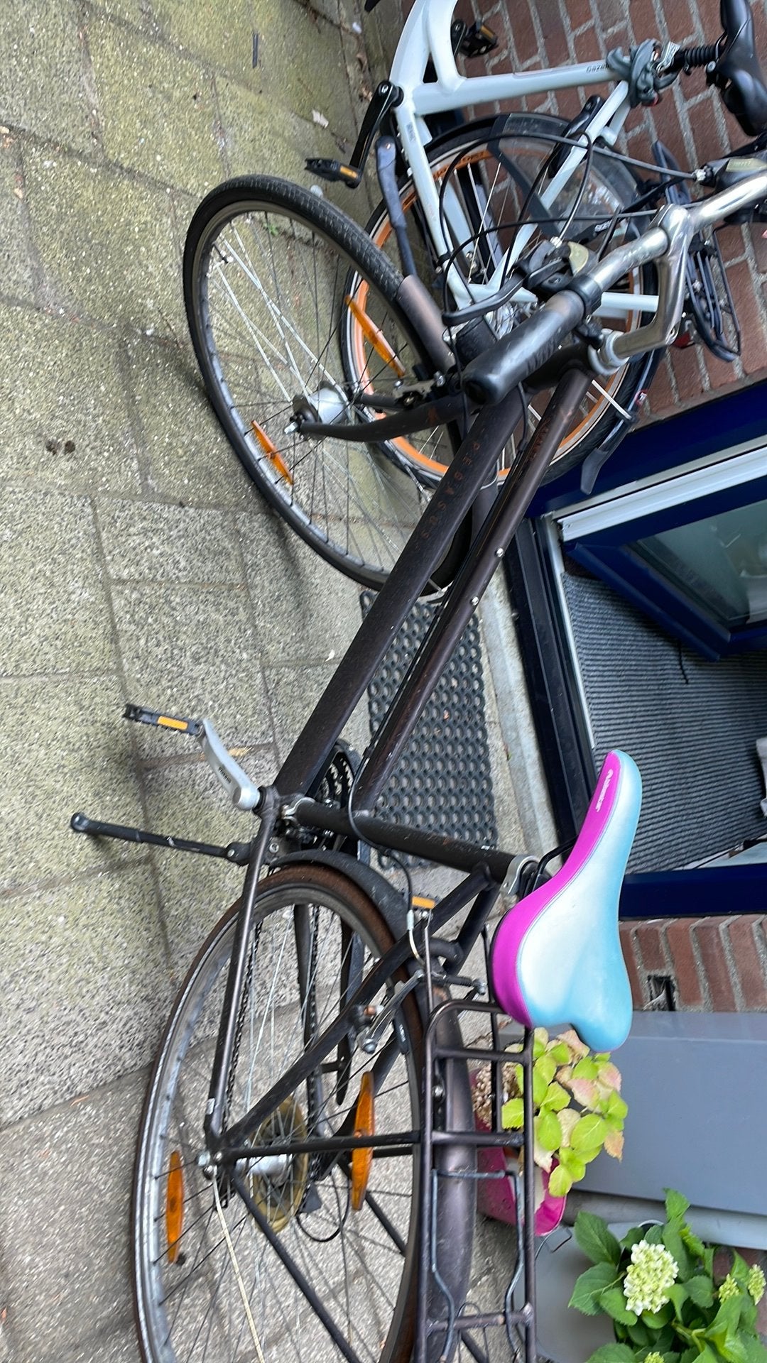 Fiets pegasus avanti, Ophalen, Gebruikt, 10 tot 15 versnellingen, Overige merken