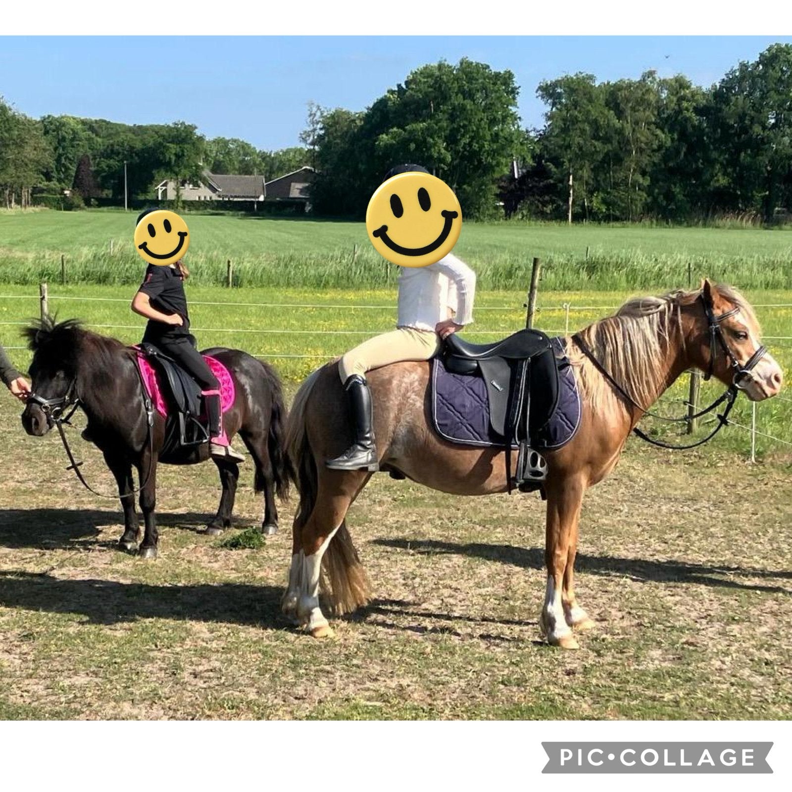 - 7 jarige droompony - welsh a merrie bereden en betuigd, Dieren en Toebehoren, Pony's, Merrie, Met stamboom, A pony (tot 1.17m)