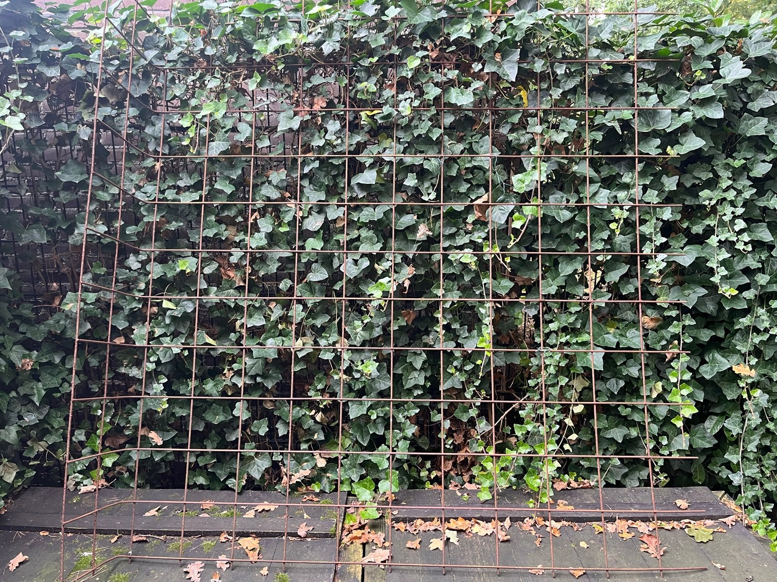 IJzeren rek gratis af te halen, Tuin en Terras, Ophalen, Gebruikt, IJzer, Overige typen