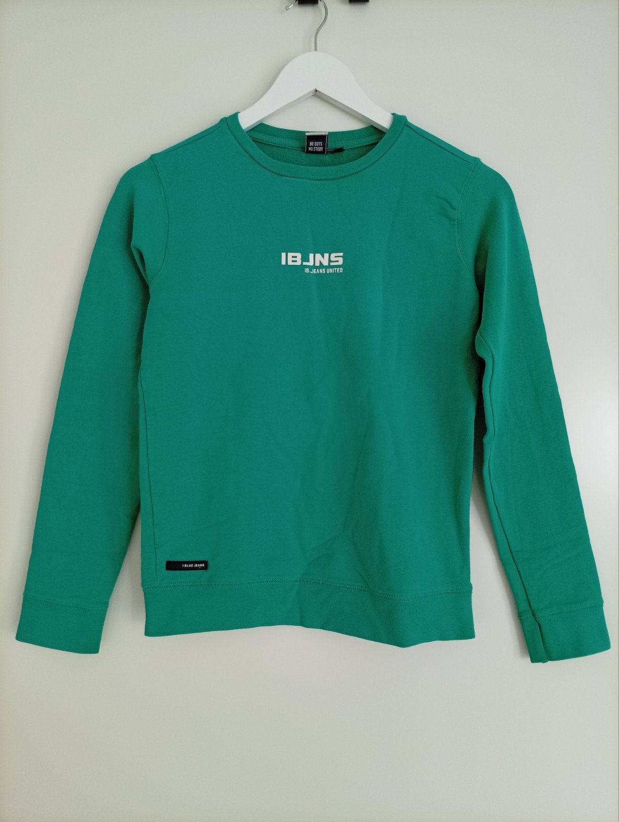 Indian Blue Jeans (dunne) sweater / trui groen maat 12/152, Gebruikt, Trui of Vest, Ophalen of Verzenden, Jongen