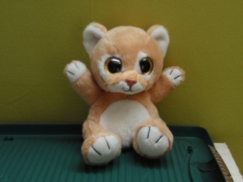 Schattige knuffel - poes, Ophalen of Verzenden, Zo goed als nieuw, Beige, Kat