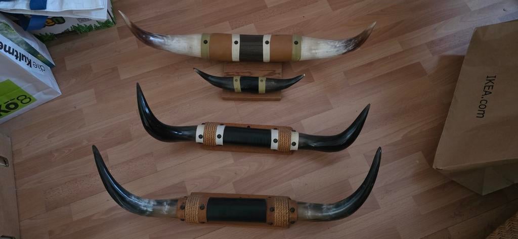 Vintage Jaren '70 Koehoorns Set - Decoratief, Ophalen