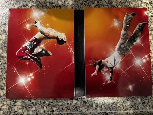 Wrestling's Highest Flyers, Ophalen of Verzenden, Engels, Overige sporten, Overige typen