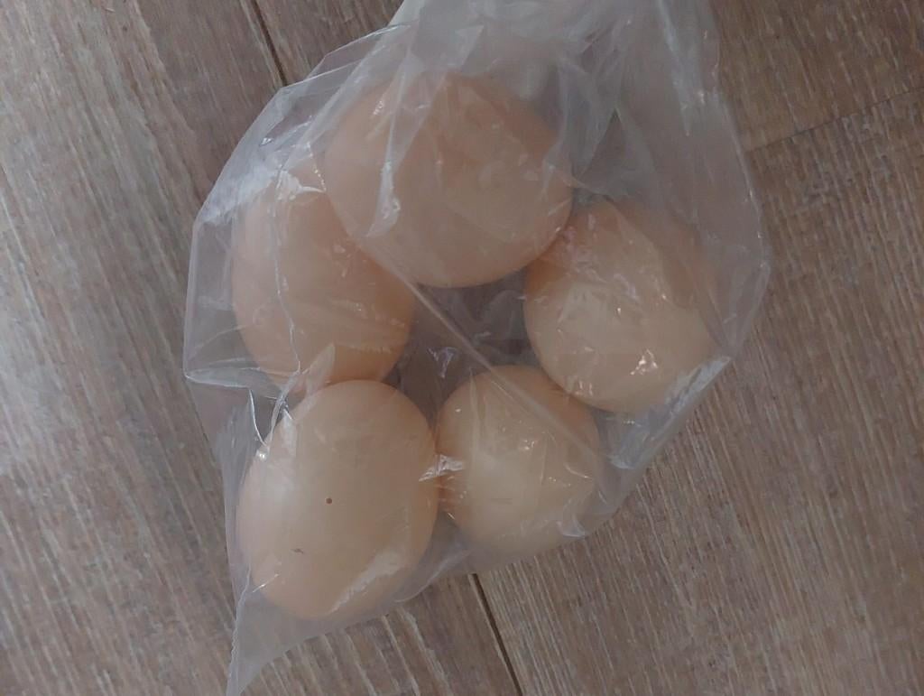 nep kippen eieren bruin van plastic, Ophalen of Verzenden
