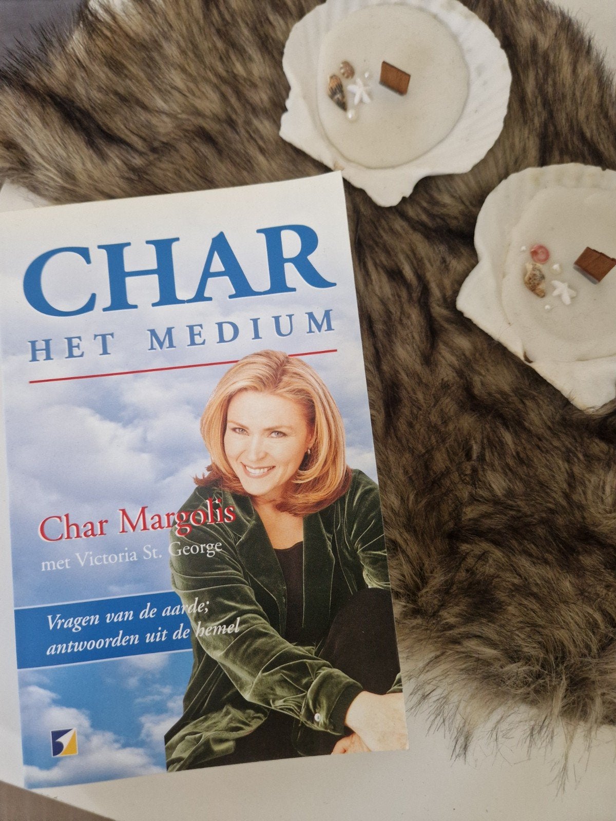 Char, het medium - Char Margolis - 9789021535968, Gelezen, Achtergrond en Informatie, Spiritualiteit algemeen, Ophalen of Verzenden