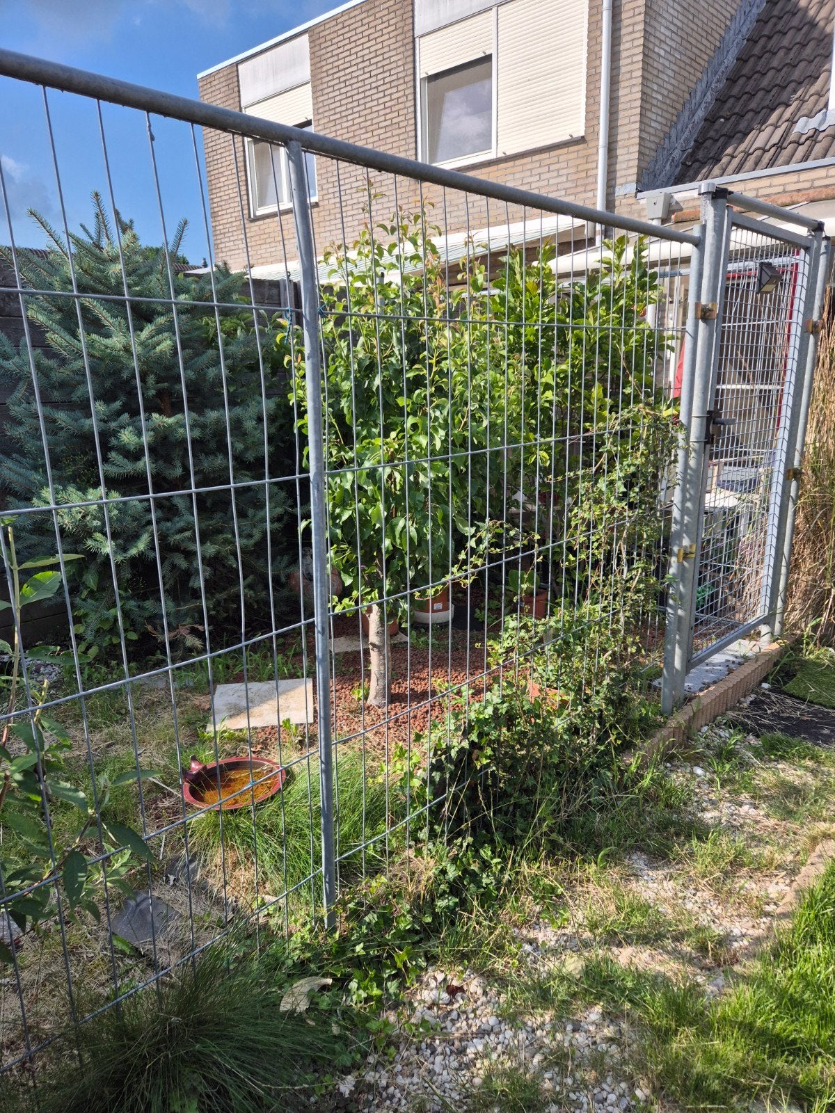 Stevig gaashekwerk met poort en slot, Tuin en Terras, Tuinhekken en Hekwerk, Ophalen, Met poort, Gebruikt, Gaashekwerk