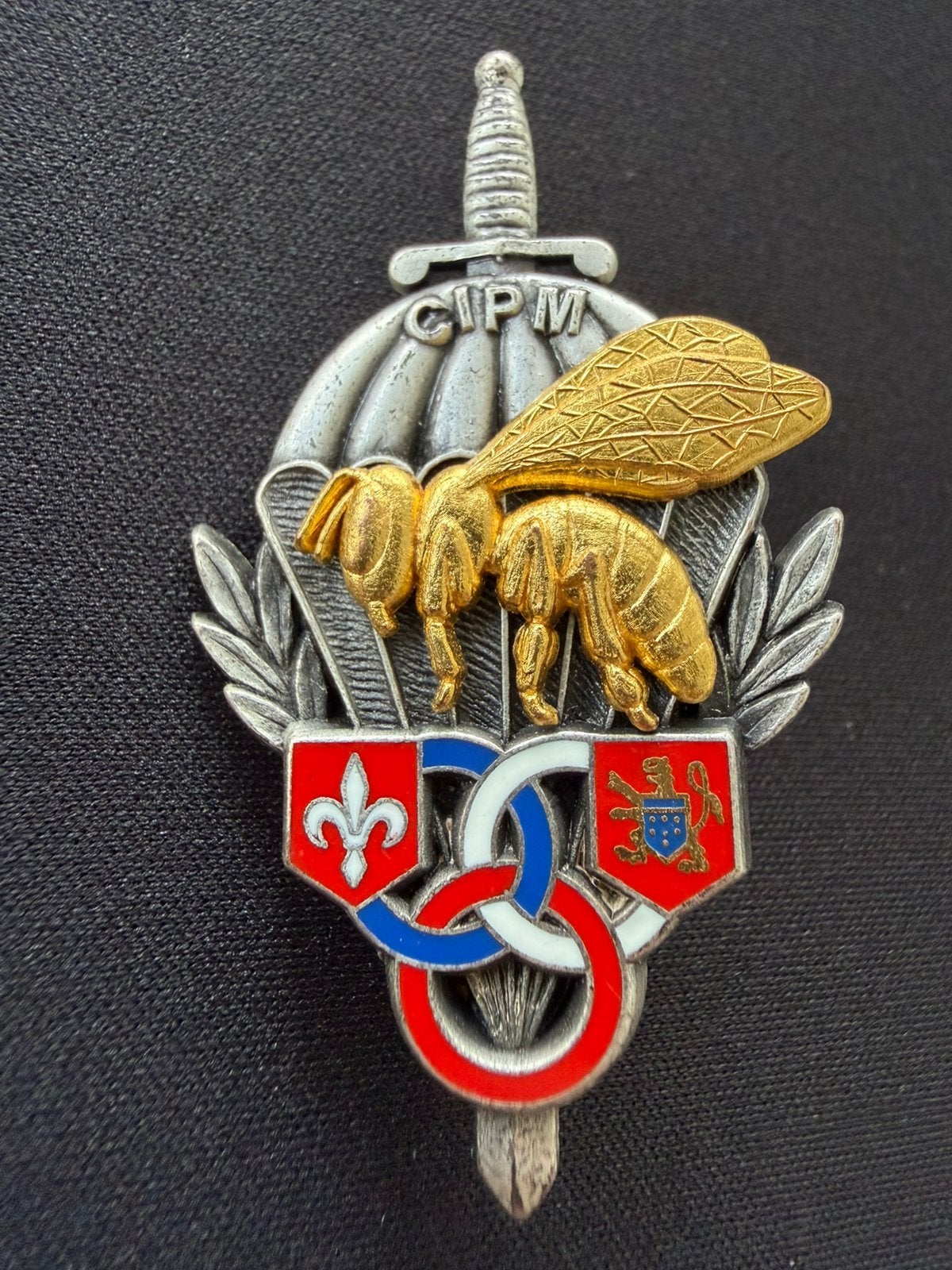 CIPM Badge, Ophalen of Verzenden, Embleem of Badge