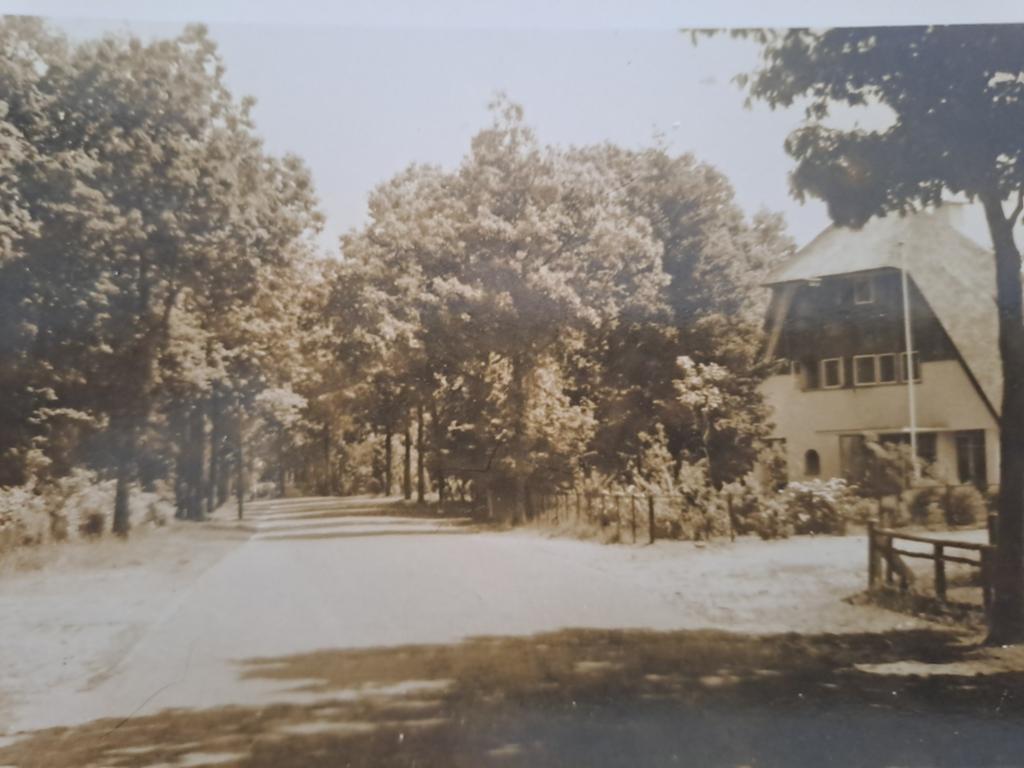 Den Dolder, Hertenlaan, Ophalen of Verzenden, Voor 1920