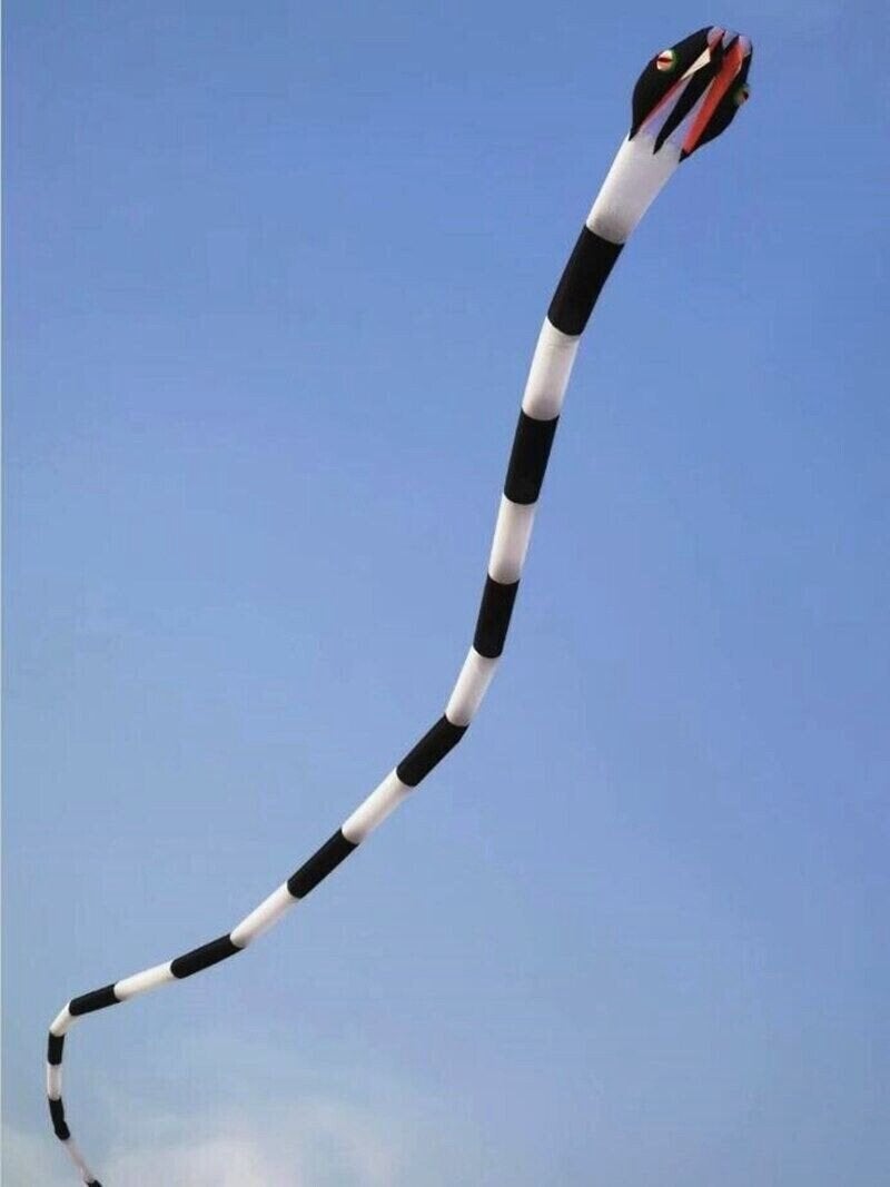 55m snake Vlieger, Sport en Fitness, Vliegeren, Ophalen, Zo goed als nieuw