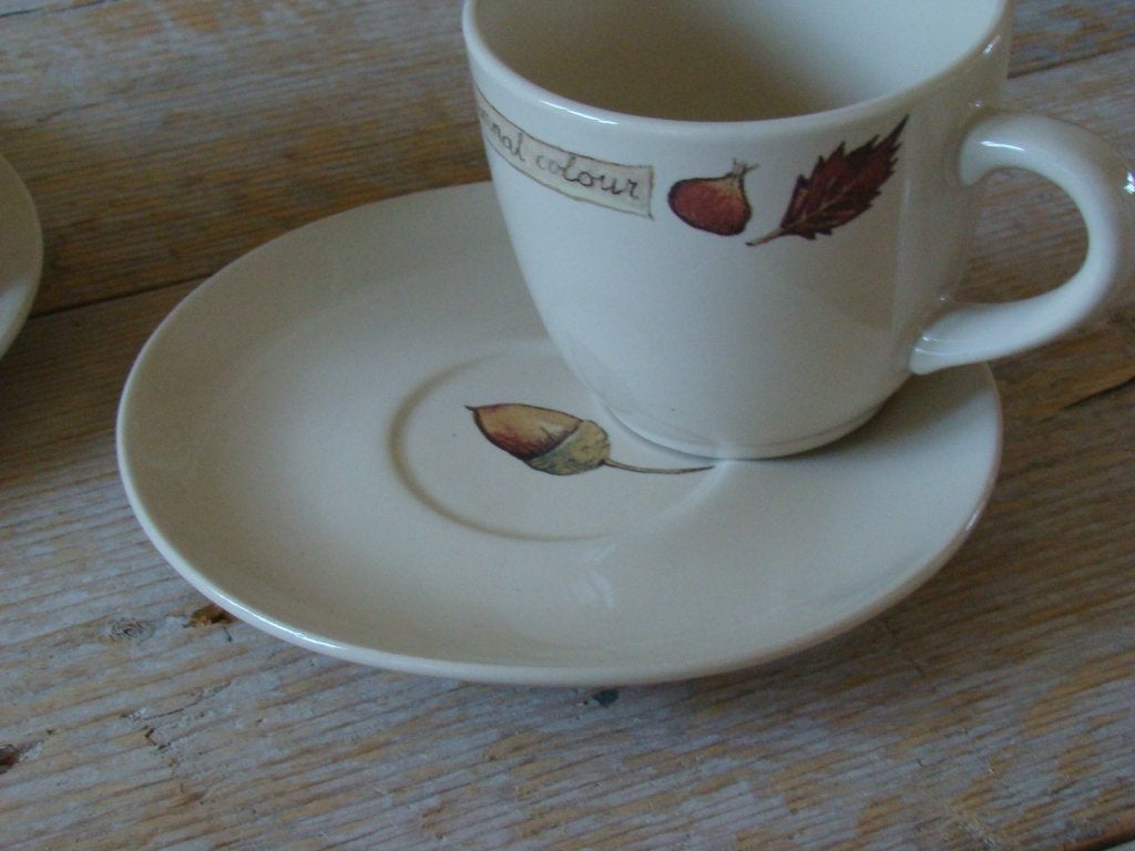 Servies, Jet (by Ter Steege) AUTUMNAL COLORS, z.g.a.n., Overige typen, Ophalen of Verzenden, Zo goed als nieuw, Overige stijlen