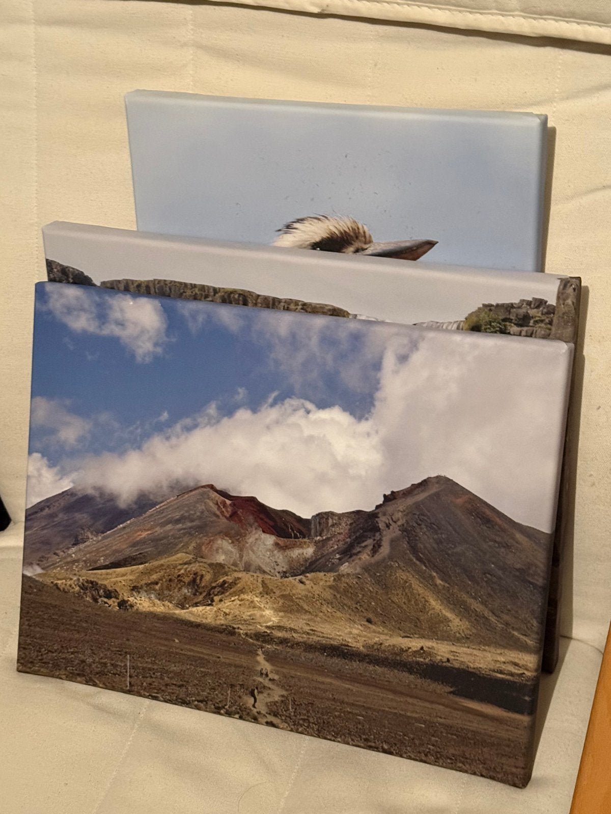 Set van 3x 40x30cm foto canvas posters (natuur & dieren), Ophalen