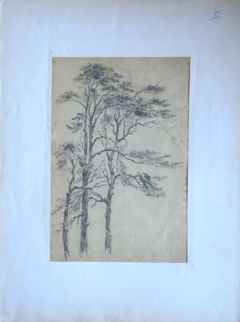 John Henry Smith tekening "Near Lodsall Staffordshire" 1852, Ophalen, Minder dan 50 cm, Gebruikt, Minder dan 50 cm