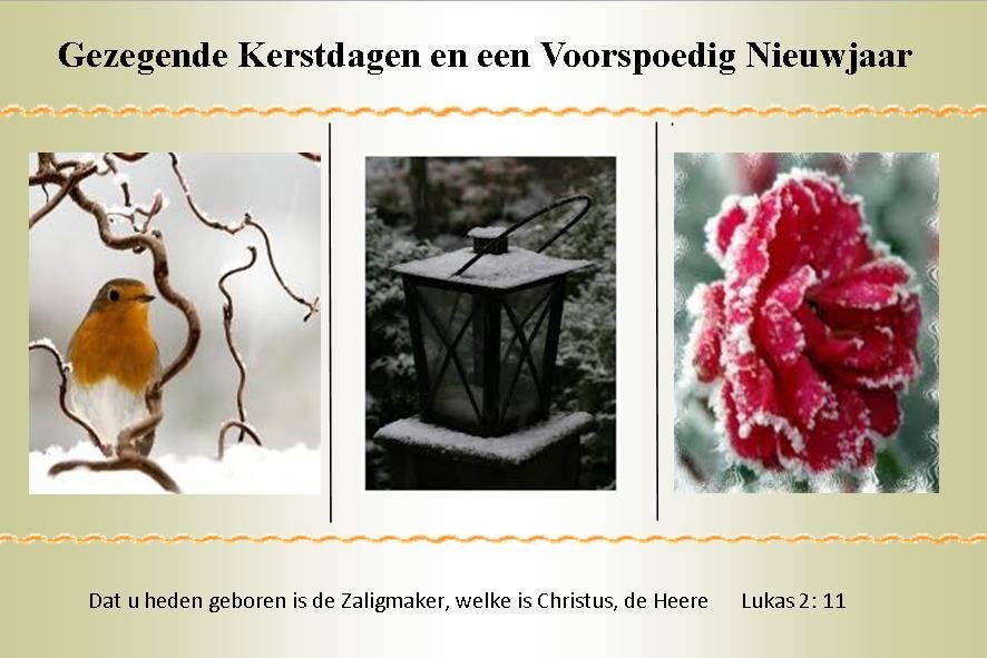 NIEUW FOTOKAARTEN BIJBELTEKST SV EN GEZEGENDE KERSTDAGEN, Ophalen of Verzenden, Nieuw