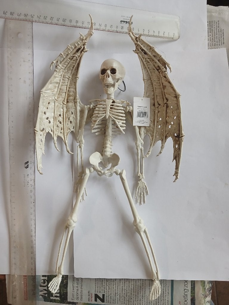 Engelen Skelet met vleugels, Verzenden, Nieuw