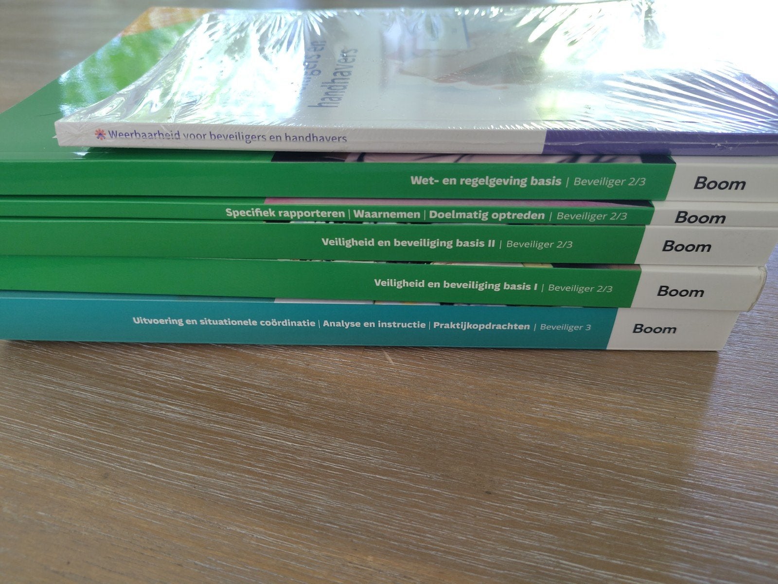 Boeken MBO opleiding Beveiliger niveau 2/3 (nieuw), Ophalen of Verzenden, Beta, Nieuw, MBO