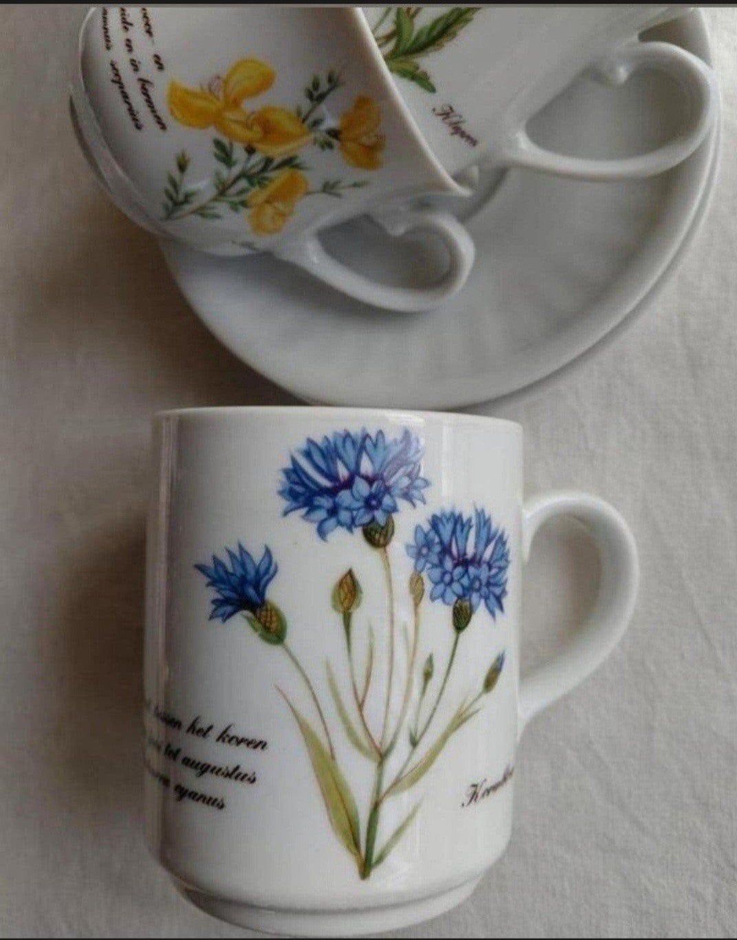 Libelle kopjes mok theepot koffiepot paarse viooltjes, Ophalen of Verzenden, Zo goed als nieuw, Overige stijlen, Kop(pen) en/of Schotel(s)