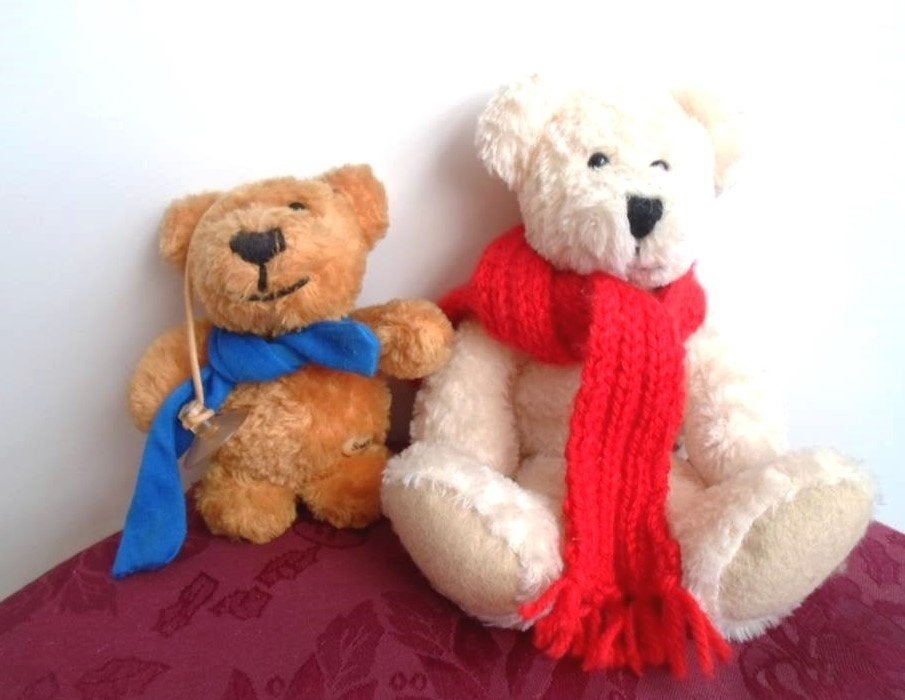 Beer Sunkid Original Teddybear + kleine beer Sunkid, Verzamelen, Ophalen of Verzenden, Zo goed als nieuw, Stoffen beer, Overige merken