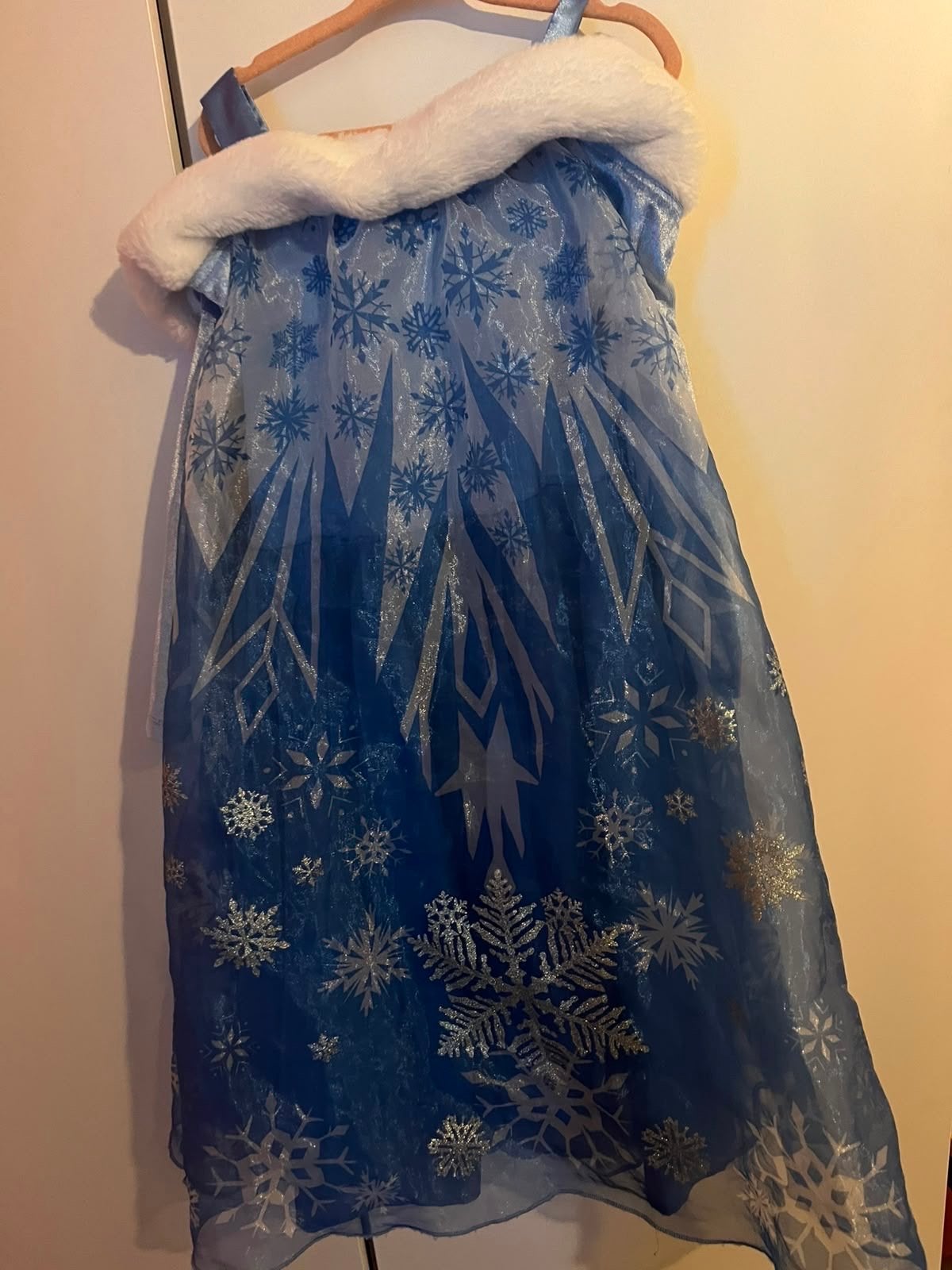 H&M Disney Frozen jurk maat 110-116 (4-6 jaar), Kinderen en Baby's, Carnavalskleding en Verkleedspullen, Ophalen of Verzenden
