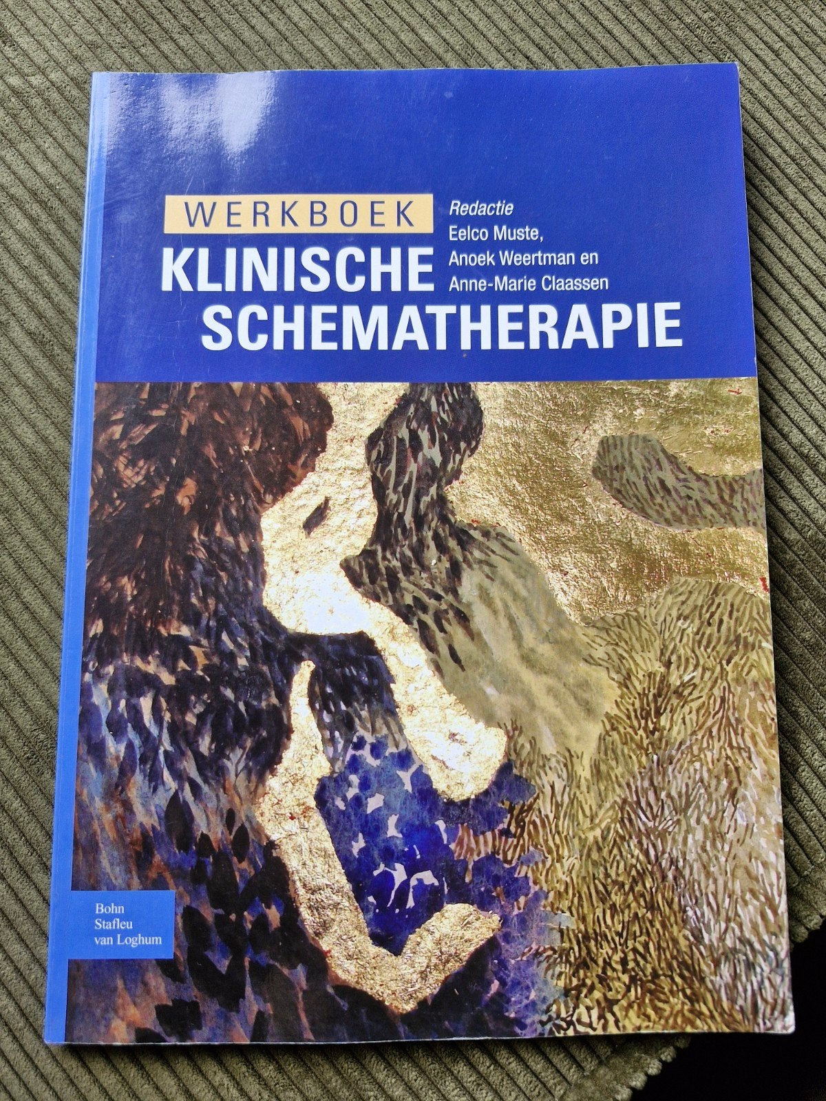 Werkboek Klinische Schematherapie - Zo goed als nieuw, Boeken, Gelezen, Eelco Muste, Anoek Weertman en Anne-Marie Claassen, Gamma
