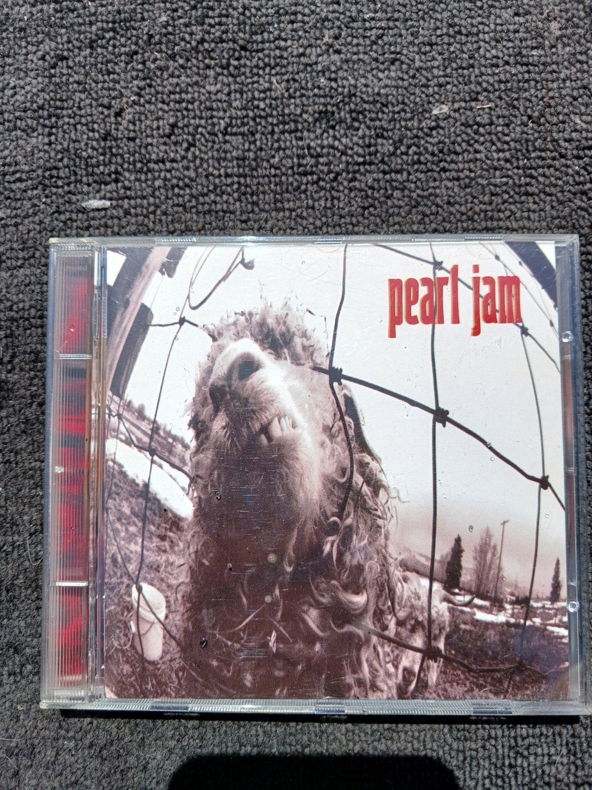 Pearl Jam cd, Ophalen of Verzenden, Gebruikt
