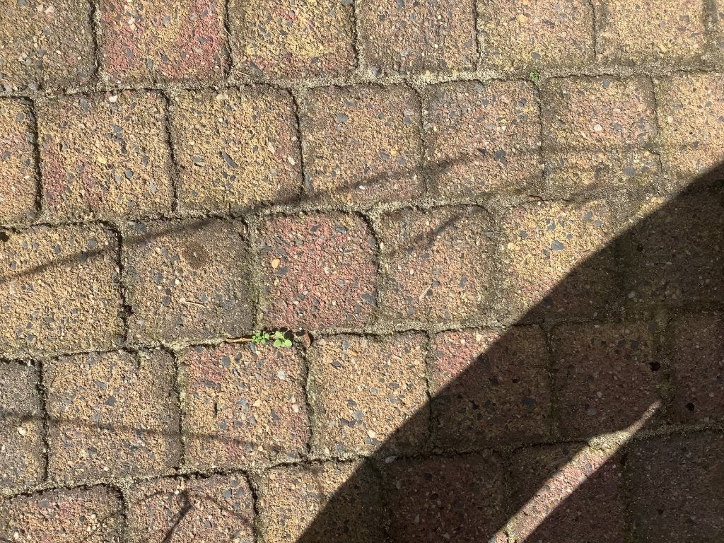 Terrasstenen, Tuin en Terras, Ophalen, Gebruikt, Overige materialen, Klinkers