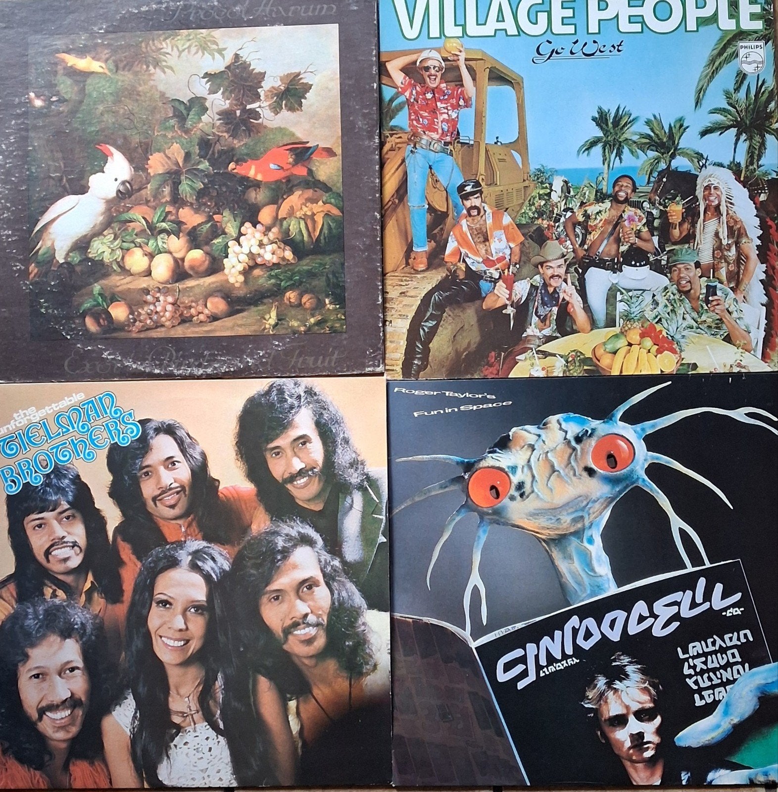 Procol Harum, Village People, Tielman Brothers, Roger Taylor, Cd's en Dvd's, Vinyl | Pop, Ophalen, LP, Pop, Zo goed als nieuw