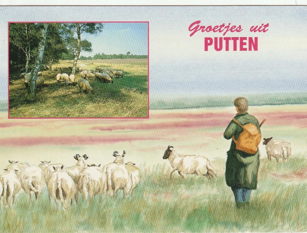 Ansichtkaart Groetjes uit Putten (deels getekend), Verzamelen, Ansichtkaarten | Nederland, Ophalen of Verzenden, 1980 tot heden