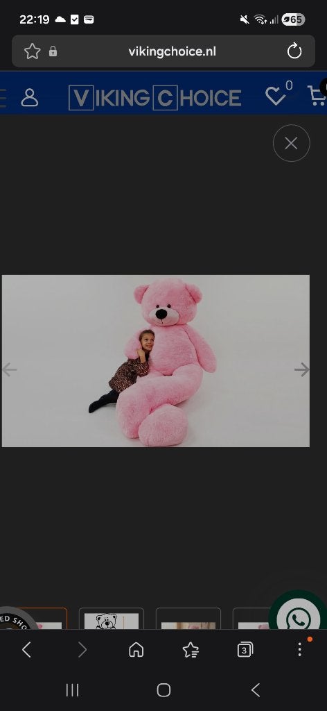 Roze knuffelbeer, Kinderen en Baby's, Speelgoed | Knuffels en Pluche, Overige merken, Overige karakters, Beer, Nieuw