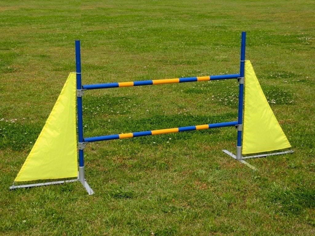 Agility Hoogte Sprong Dubbel Hondentraining Hondensport, Dieren en Toebehoren, Ophalen of Verzenden, Nieuw, Overige typen