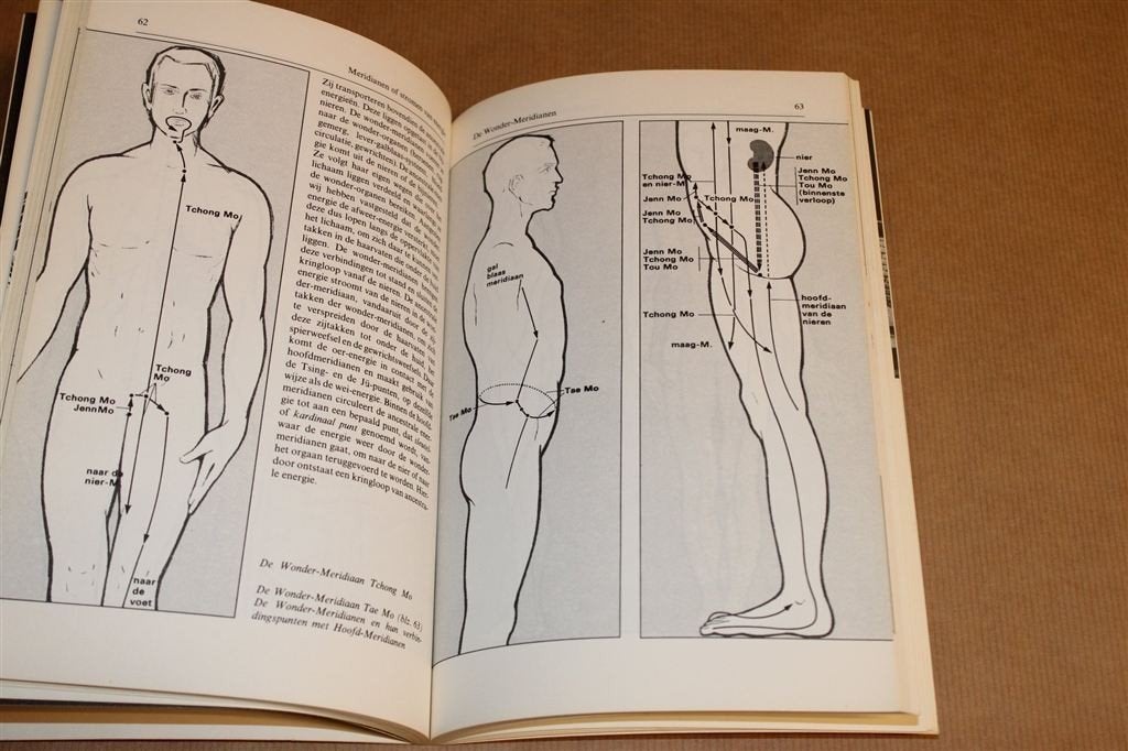 Acupunctuur — Chinese therapie als geneeswijze, Ophalen of Verzenden, Gelezen, Overige onderwerpen, Achtergrond en Informatie