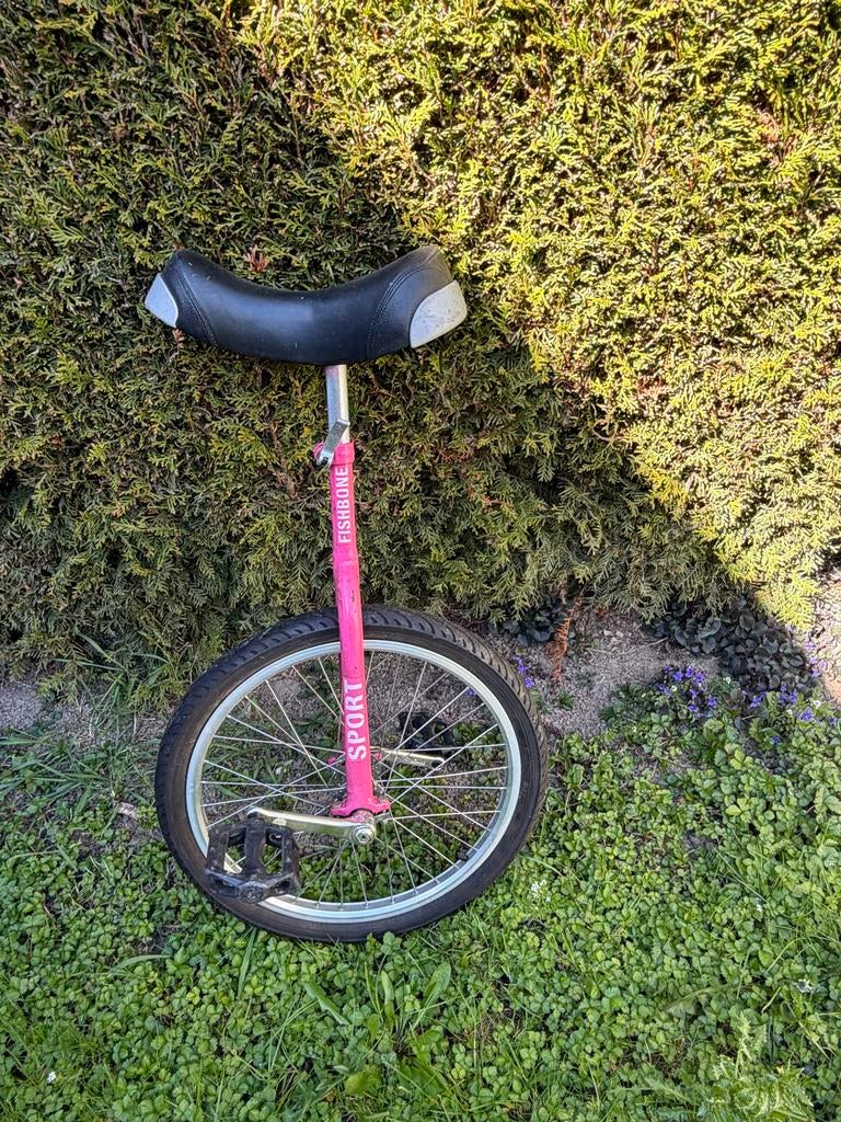 Fishbone Sport Eenwieler roze, Ophalen, Gebruikt