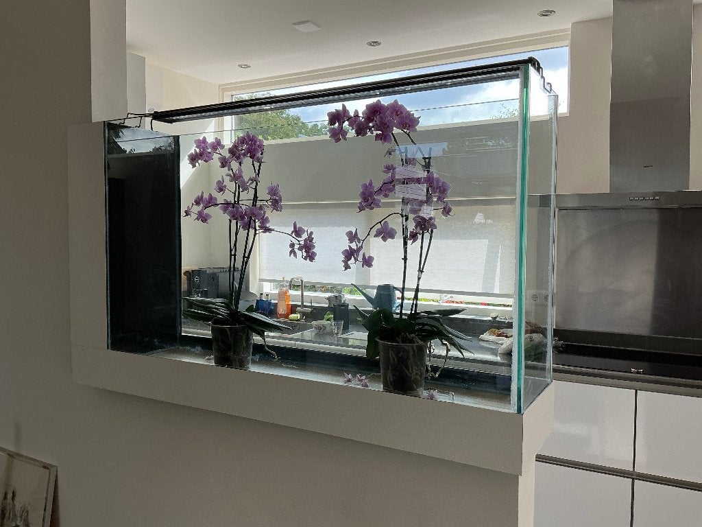 Aquarium voor op een muur, Ophalen, Gebruikt, Leeg aquarium, Overige merken