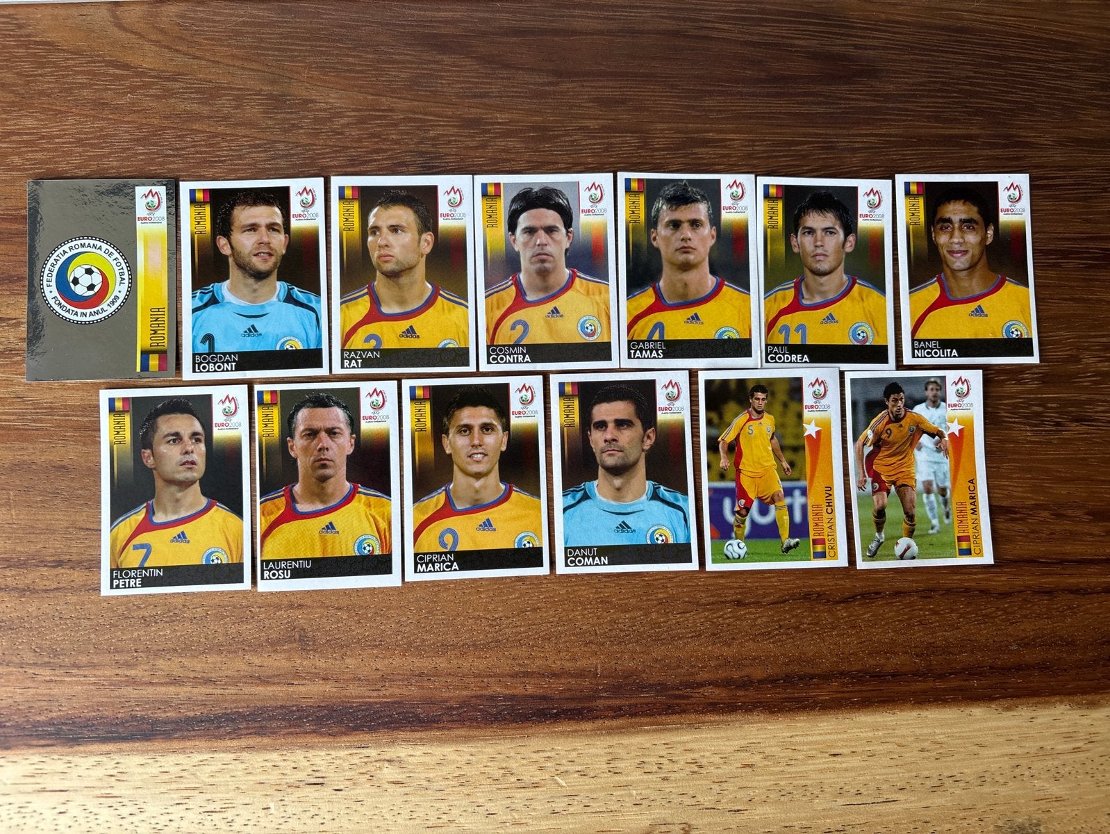 Panini Euro 2008 Roemenië Voetbalplaatjes (13 stuks), Ophalen of Verzenden, Zo goed als nieuw, Stickers en Plaatjes