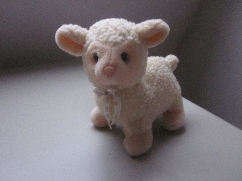 De Waal Texel roomwit zacht ruwharig pluche schaap lammetje, Overige merken, Overige karakters, Overige typen, Ophalen of Verzenden