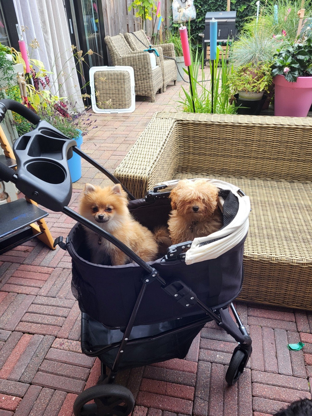 Hondenbuggy Bello zo goed als nieuw., Dieren en Toebehoren, Ophalen, Zo goed als nieuw