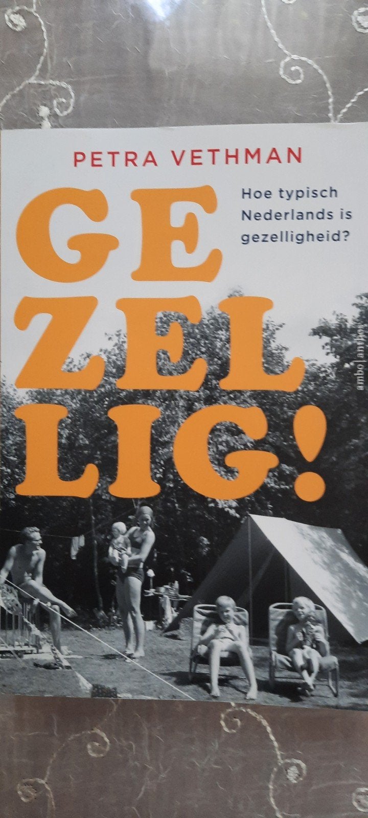 Petra Vethman - Gezellig!, Petra Vethman, Ophalen of Verzenden, Zo goed als nieuw, Nederland