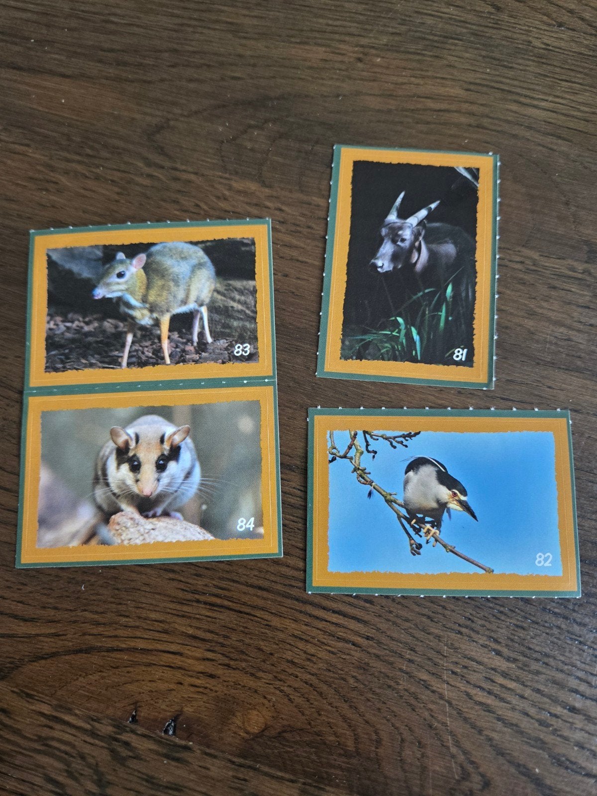Artis Verborgen Parels stickerboek - laatste 4 kaartjes, Albert Heijn, Ophalen of Verzenden