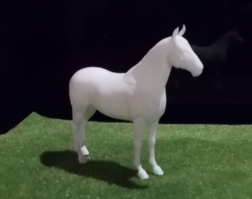 Warmbloed 31 – korte manen rechts, Ophalen of Verzenden, Nieuw