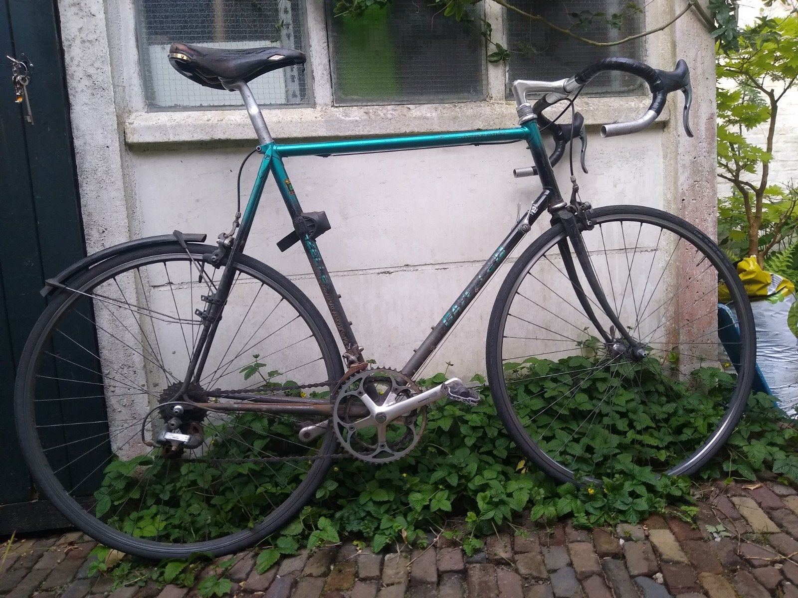 Gazelle Champion Mondial 61 cm, Ophalen, 28 inch, Gebruikt, 57 tot 61 cm