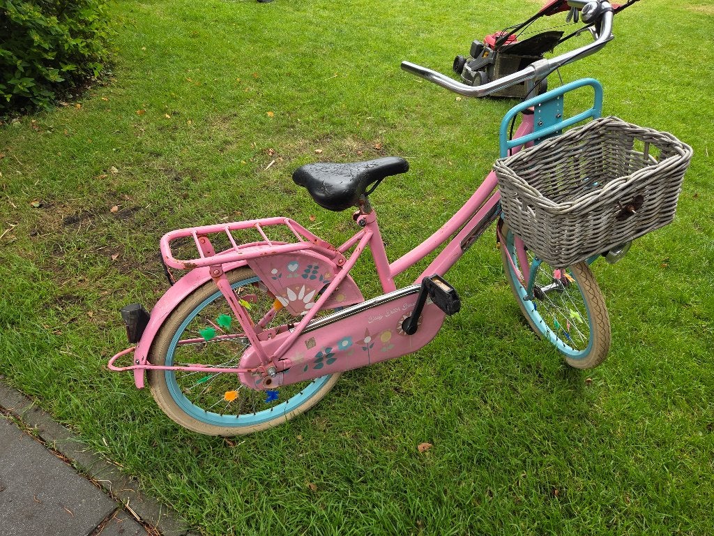 Kinder fiets dames. 20 inch., Terugtraprem, Gebruikt, Ophalen of Verzenden, Dames